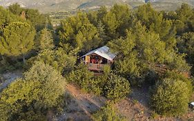 Camping La Peiriere - Lodge En Pays Cathare